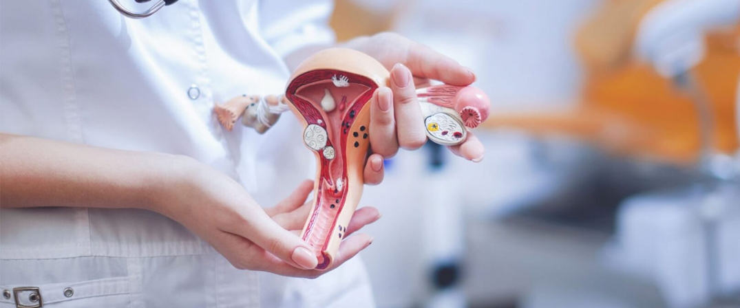 шейка матки