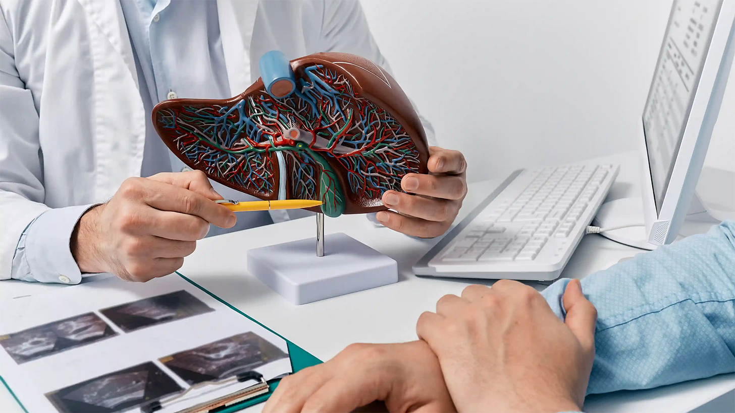 Еластографія печінки